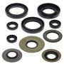 Vertex Pistons 822279 Vertex Gaskets 87-95 Yamaha YFM350ER Moto-4 Oil Seal Kit