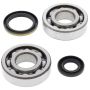 All Balls Racing 24-1020 94-95 Suzuki RM250 Crank Shaft Bearing Kit