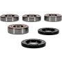 Pivot Works 25-1807-P Gas-Gas, Husqvarna, KTM Wheel Bearing Kit Premium Bearings