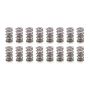 PAC RACING SPRINGS PACPAC-1373-16 1.430 Dual Valve Spring Set 16pk