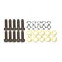 ALLSTAR PERFORMANCE ALL42036 Brake Rotor Bolt Kit 5/16in-24