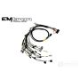 Rywire Honda B-Series (w/MTron KV8 ECU) Eng Harn w/OBD1 Alt/EV1 Inj/AEM IAT & MAP (Adapter Req)