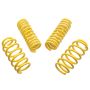 ST Suspensions 65504 ST Sport-tech Lowering Springs Chrysler 300C 2WD / Dodge Charger Challenger Magnum