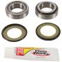 Pivot Works PWSSK-H02-021 Steering Stem Bearing Kit