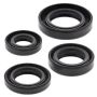Vertex Pistons 822163 Vertex Gaskets 04-13 Honda CRF100F Oil Seal Kit