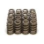 PAC RACING SPRINGS PACPAC-1283-16 1.250 Valve Springs - Ovate Beehive