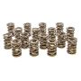 PAC RACING SPRINGS PACPAC-1905-16 Valve Springs - HR Series (16)