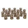 PAC RACING SPRINGS PACPAC-1903-16 Valve Springs - HR Series (16)
