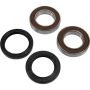 Pivot Works 25-1570-P Aprilia Wheel Bearing Kit Premium Bearings