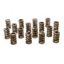 PAC RACING SPRINGS PACPAC-1200-16 1.244 Single Valve Springs w/Damper - (16)