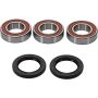 Pivot Works 25-1101-P KTM Wheel Bearing Kit Premium Bearings