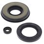 Vertex Pistons 55203 Vertex Gaskets 02-06 Arctic Cat ZR 440 Sno-Pro Oil Seal Kit