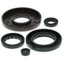 Vertex Pistons 822210 Vertex Gaskets 01-14 Honda TRX500FA Oil Seal Kit