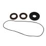 All Balls Racing 25-2088-5 05-09 Polaris Ranger 2x4 500 Differential Seal Only Kit Rear