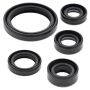 Vertex Pistons 822226 Vertex Gaskets 03-06 Kawasaki KLX125 Oil Seal Kit