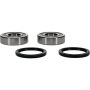 Pivot Works 25-1548-P TM Wheel Bearing Kit Premium Bearings