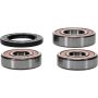 Pivot Works 25-1287-P Kawasaki Wheel Bearing Kit Premium Bearings