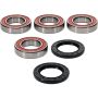 Pivot Works 25-1436-P Arctic Cat Wheel Bearing Kit Premium Bearings