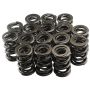 PAC RACING SPRINGS PACPAC-1224-16 1.625 Dual Valve Springs - (16)