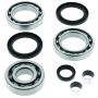 QuadBoss 413026 2002 Polaris ATV Pro 500 4x4 PPS Rear Differential Bearing & Seal Kit