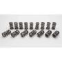 1.550 NexTek Dual Valve Springs