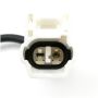 DELPHI AS10092 Ignition Knock (Detonation) Sensor