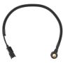 DELPHI AS10328 Ignition Knock (Detonation) Sensor