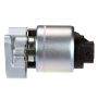 DELPHI EG10021 EGR Valve