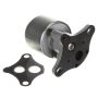 DELPHI EG10021 EGR Valve