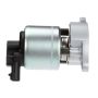 DELPHI EG10022 EGR Valve