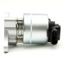 DELPHI EG10022 EGR Valve