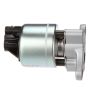 DELPHI EG10023 EGR Valve
