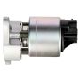 DELPHI EG10025 EGR Valve