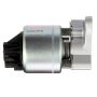 DELPHI EG10031 EGR Valve