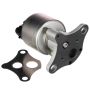 DELPHI EG10031 EGR Valve