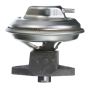 DELPHI EG10099 EGR Valve