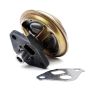 DELPHI EG10099 EGR Valve