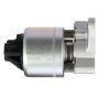 DELPHI EG10169 EGR Valve
