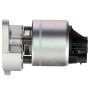 DELPHI EG10169 EGR Valve