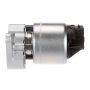 DELPHI EG10170 EGR Valve