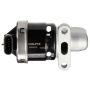 DELPHI EG10172 EGR Valve