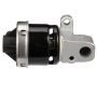 DELPHI EG10172 EGR Valve