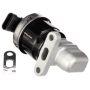 DELPHI EG10172 EGR Valve
