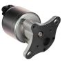 DELPHI EG10175 EGR Valve