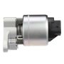 DELPHI EG10175 EGR Valve