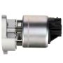 DELPHI EG10175 EGR Valve