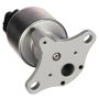 DELPHI EG10176 EGR Valve
