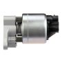 DELPHI EG10176 EGR Valve