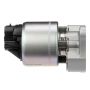 DELPHI EG10176 EGR Valve