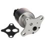 DELPHI EG10176 EGR Valve